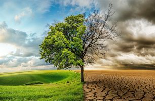 陪伴臨終病人跨越死生